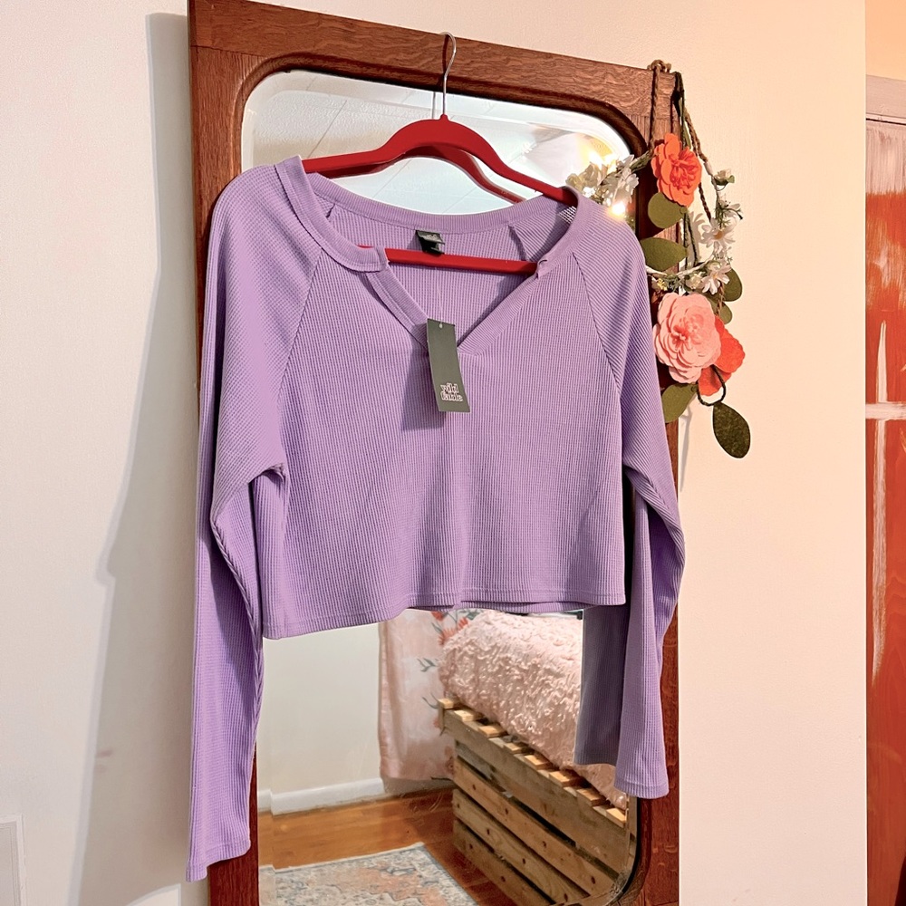 Wild Fable Crop Sweater